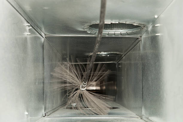 Best Affordable Duct Cleaning Services  in Shandon, CA